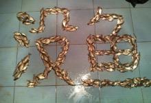 “空军”后的尴尬，困惑钓鱼人多年的心结终于打开了！