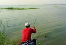 钓鱼不钓草等于瞎胡跑？主因有3点，下次我也要钓草