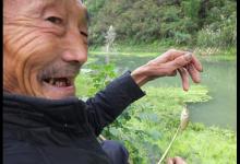 为什么冬季大板鲫很常见，夏季鲫鱼又少又小