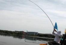 钓小鲫鱼，巧碰大鱼上钩该如何破解？这3个策略可应对