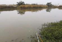 冬季钓鲫鱼讲究细节，注意这些小技巧，冬钓不走空