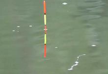 调四钓二是钓灵还是钓钝？