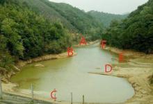 草鱼这个钓法最近火了，简单易上手，新手一学就会