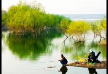 钓鱼人最担心得的一种病！