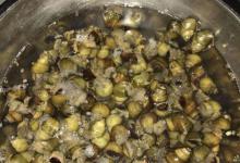 鲤鱼会吃螺丝吗？好钓鱼告诉你