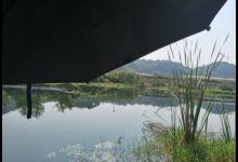 深秋野钓鲫鱼不宜死等口，传统钓主动出击找鱼窝更靠谱