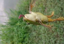 这些年，你都钓住过哪些奇葩？