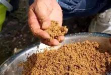 终于知道打窝反而没鱼的原因了！