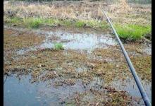 冬季野钓大板鲫需要牢牢记住的独特钓法
