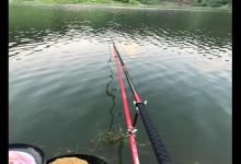 深秋降温还能不能钓到野生鲤鱼？老钓友教你两招，深秋野钓上鲤鱼