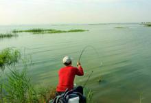 草鱼可以这样钓，效果绝对杠杠的