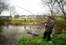 野塘中钓鱼遇到小杂鱼闹窝，如何避开小杂鱼，针对性的钓鲫鱼？
