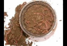 钓鱼剩下的蚯蚓不要扔，试试做成蚯蚓液，效果远超“钓鱼小药”