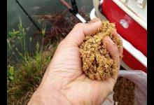 商品饵料那么多，不懂作用就去钓鱼，这些年你都花了多少冤枉钱？