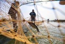 禁渔期在河边撒网捕鱼，湖北一大爷被抓，自称为了锻炼身体