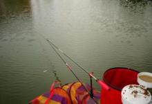 黑坑钓鱼禁用红虫，遇到这样的情况，钓鱼人如何应对？