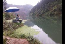 野河中当了“钓鱼空军”，转战小溪去抓鱼，足足29条不要太羡慕