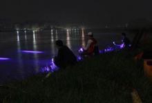 夏季炎热夜钓是首选，这些垂钓细节不容忽视，爱钓鱼的你别错过