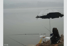 白条鱼难钓吗？还是好钓？一看就知道