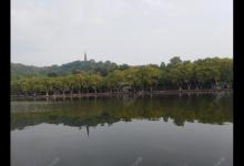 我对钓鲤鱼的浅识