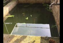 老婆不让钓鱼就没办法了？你太小看钓鱼人了，家里鱼池也能钓！