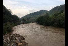 浑水钓黄颡的方法，特有效