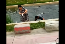 河南一河道大鱼乱跳，老乡直接“白捡”，有大爷放狗下河去抓鱼