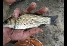 回趟老家轻松了不少，再去小河中钓钓鱼，真舒坦