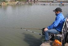 钓鱼一定要守鱼竿？巧用弹簧竿“自动钓鱼”，无人值守也能钓到鱼