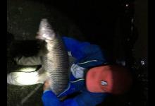 这鱼是鲮鱼吗，足足十三斤，鲮鱼能长这么大？