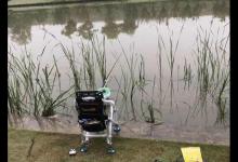 一大早就出门钓鱼，还真找了个好钓位，就是这地方螃蟹有点多