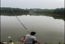 钓青鱼的时候，从这几点入手可以避免切线