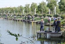 为了钓鱼真的不容易，要再遇到这些事就更糟心了，你们遇到过吗？