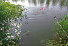 秋冬季节野钓鲫鱼，平衡好水草和钓位的关系，狂口连杆并非难事