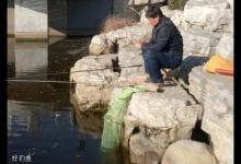 什么时候要浮钓鲫鱼？怎么浮钓鲫鱼？