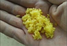 钓鲫鱼越简单越好，饵料做到“诱钓”结合，自然不愁钓不到鱼