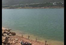 水库中钓了几条大鱼，看着很像鲤鱼跟草鱼，这是军鱼吗，求鉴定