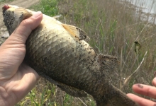 春夏交替外出钓鱼，这3种地方堪称“黄金钓位”，遇到了别错过