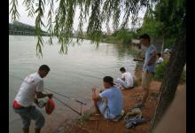 我们叫它呆子鱼，江里才有的稀罕物，看起来很像黑鱼，你们那有吗