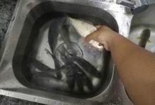 趁着休假外出钓鱼，黄颡鱼鲫鱼鲶鱼都钓到，这样的资源你羡慕吗？