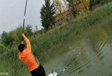 到了3月，还担心钓不好鳊鱼？老渔民支了4招