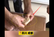 成都大爷买到“奇怪”草鱼，煮不烂咬不动，广东网友：大爷你赚了