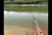 夏季野钓鲫鱼如何避小钓大，四招搞定
