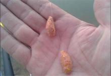 钓鱼时子线缠绕让人头疼，子线断裂让人懊恼，试试这样来避免吧！