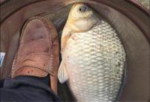 这些意外在钓鱼时常有发生，遇到了不要慌，这些技巧助你巧妙化解