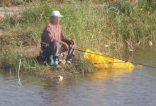 垂钓草鱼思路分享，多钓草鱼可以来看看