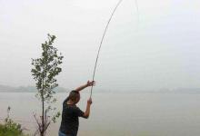 钓鲫鱼的出钓时机，选钓位与选窝饵技巧