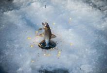 浅谈寒冬冰钓渔具选择，这些细节值得关注，爱钓鱼的你别错过