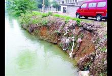 河道里钓了不少小鱼，全身红红的很像鳑鲏鱼，可鳑鲏有红色的吗？