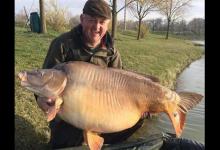 美国下药没能消灭，我国大力养殖却“不够吃”，鲤鱼也是两面派？